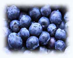 蓝莓微波解冻
